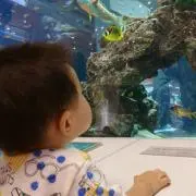 たぁみぃの画像