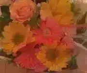 元気もりもりの画像