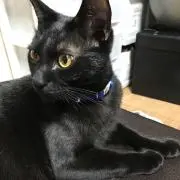 K⭐︎