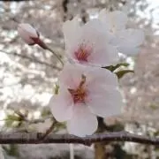 あき
