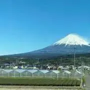 Mertaraの画像