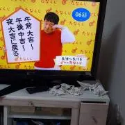 にゅの画像