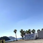 Ayaの画像