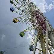 ワンペコの画像