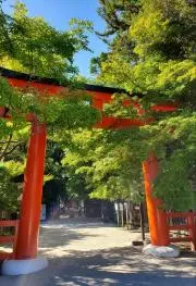 ぷるか☆購入前にプロフ確認お願いします☆の画像