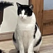 まめ