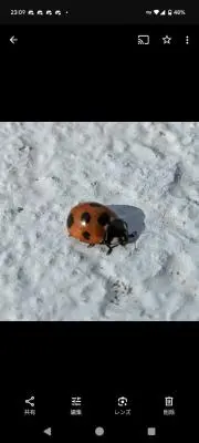 Kiの画像