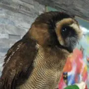 ゆん
