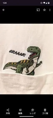 そよかの画像