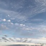 はる