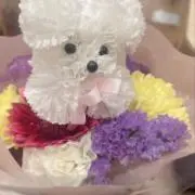 ⸜❤︎⸝‍の画像