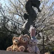ヒバニー