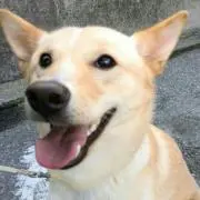 まーな☆