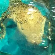 ほしまるの画像