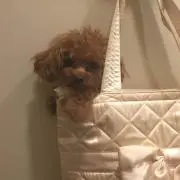 みーこ✩の画像