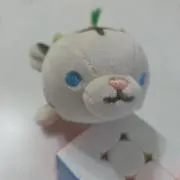 しろくまの画像