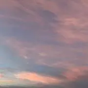 ⸜ ✿ ⸝の画像