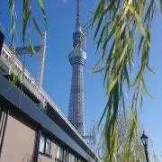 ミエミエの画像