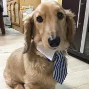 ちえこの画像