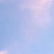 たるぎの画像