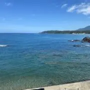 じゅんこの画像