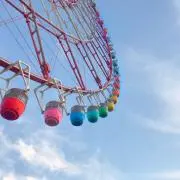 まこ