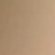 FBSHIMO
