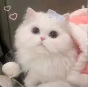 mi_nの画像