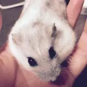 kimi☆