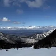 ゆきの画像