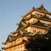 夜貴の画像