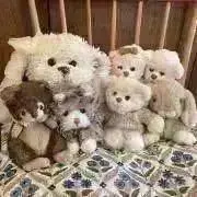 Hi！の画像