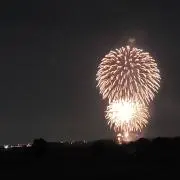 チップ
