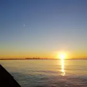 釣りバカの画像