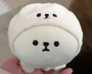 もちの画像