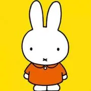 どんちゃんの画像