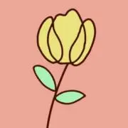 わぬの画像