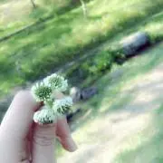 ゆゆ☆プロフ必読☆
