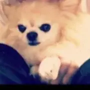 みさきの画像