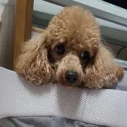 mの画像