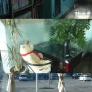 おくの画像