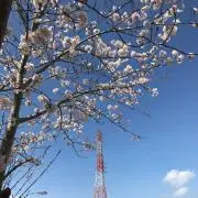 りょう