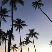 てるてる