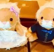 kuma★の画像