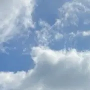 あみ