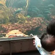 さくママの画像