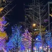 nnの画像