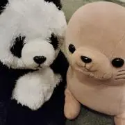 れみぃの画像