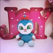 コキンちゃんの画像