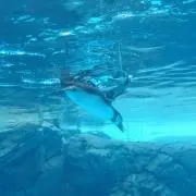 maa☆プロフご確認くださいの画像